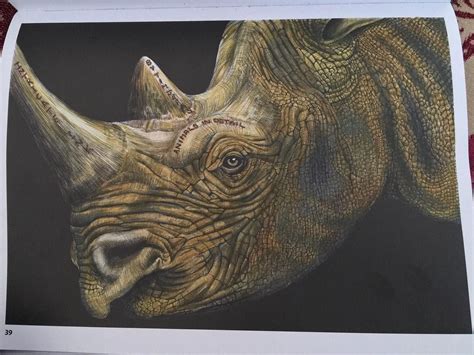 My Rhino Coloured By Me From The Book Intricate Ink Animals In Detail