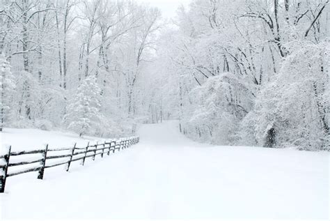 Snowy Driveway All Seasons Property Services Llc