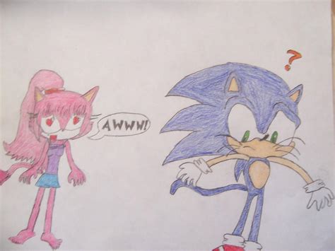 Sonic Nyan 3 By Sonicwohoogal On Deviantart