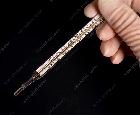 Hand Holds Clinical Thermometer Measuring Fever Stock Image M