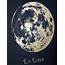 Full Moon Metallic Art Print By Betsy Benn  Notonthehighstreetcom