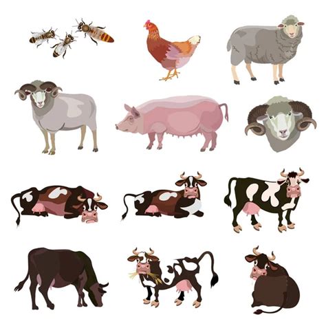 Cartoon Vector Illustration Set Of Farm Animals Isolated On White
