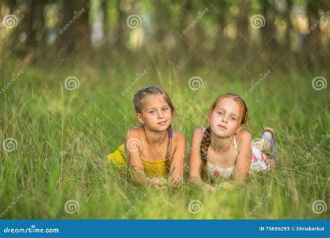 two little sisters lying in the meadow looking at the camera nature stock image image of