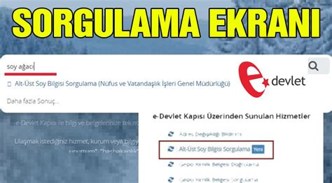 Soy ağacı sorgulaması yapabilmek için aşağıdaki adımların izlenmesi gerekmektedir e Devlet soyağacı sorgulama işlemi! - Güncel haberler