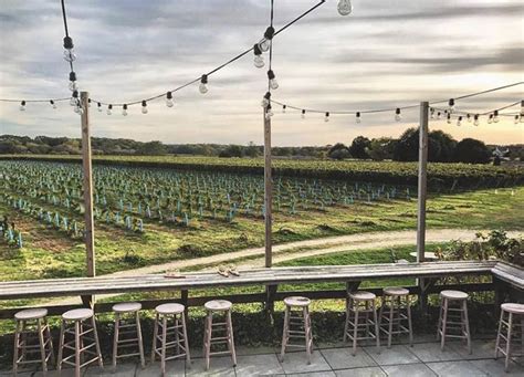5 North Fork Wineries You Need To Visit Purewow