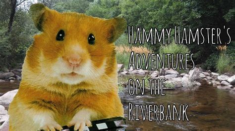 Global Tv Hammy Hamsters Adventures On The Riverbank With Original