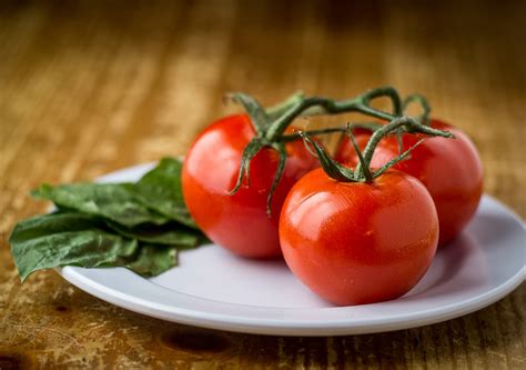 Tomato Overload? 10 Recipes to Use Your Garden's Abundance | A ...