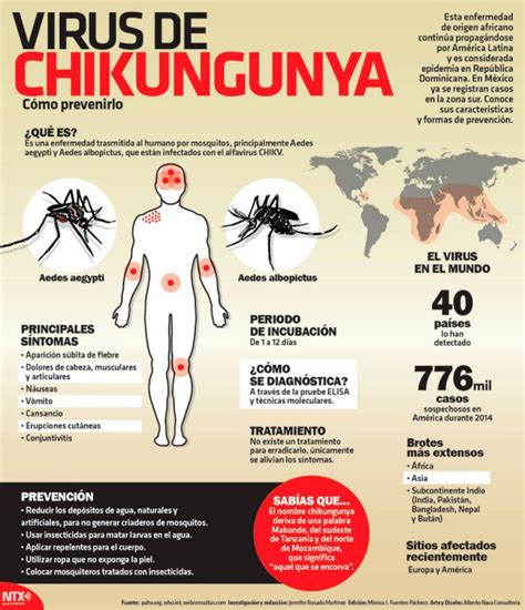 A Tener Precaución Con Los Mosquitos Alcaldes De México