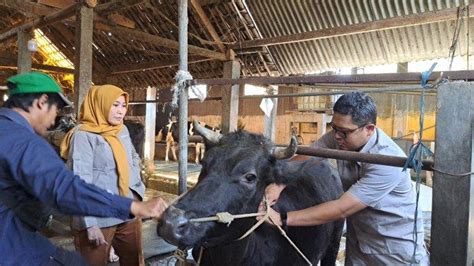 Dispangtan Kota Malang Gencar Lakukan Vaksinasi Dan Pemeriksaan Hewan