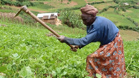 Give A New Life To 200 Rural Ugandan Women Globalgiving
