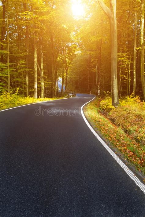 Winding Asphalt Road In The Autumn Forest By The Sunset Sun Stock Photo