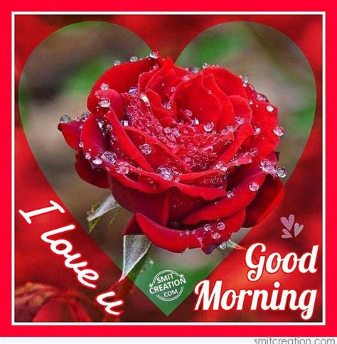 Love You Good Morning Hd Images