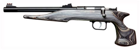 Chipmunk Pistol Hunter 22lr Bluedblack Laminate Range Usa