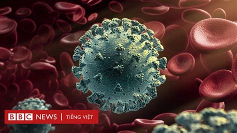 Covid Chúng Ta Biết Gì Về Biến Thể Virus Corona Mới Bbc News Tiếng Việt