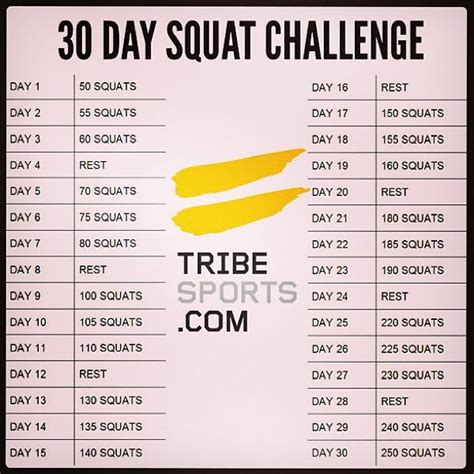 Tribesports 30 Day Squat Challenge Simple Complexity
