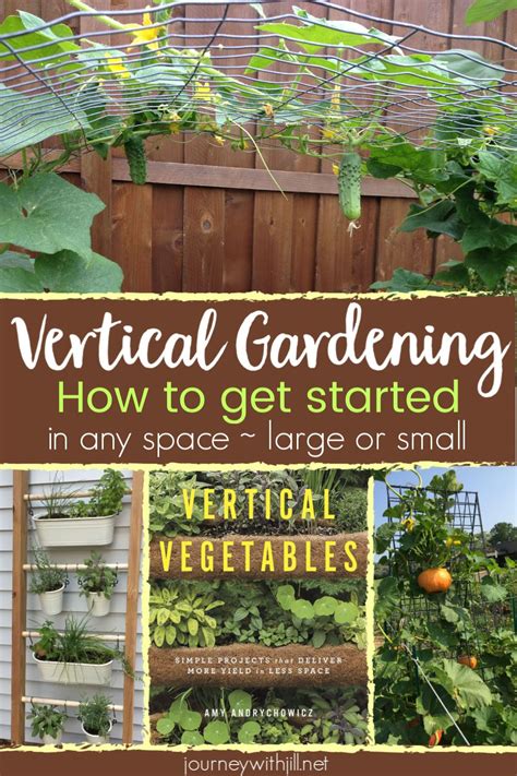 Growing Vertical Vegetables Doesnt Require A Large Garden You Can