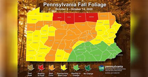 Fall Foliage Report Forests Around The Pittsburgh Area Are Showing