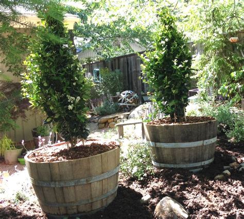 Half Wine Barrels Planting 101 Wine Barrel Planter Garden Design
