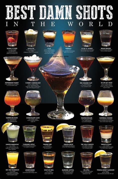 The Best Damn Shots In The World Poster With Different Types Of Drinks And Their Names