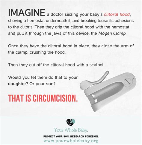 The Female Circumcision Connection — Your Whole Baby