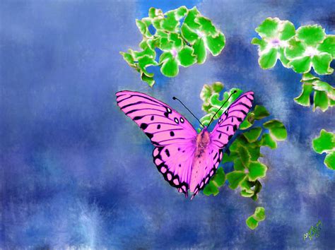 Pink Butterfly Painting By Bruce Nutting Fine Art America