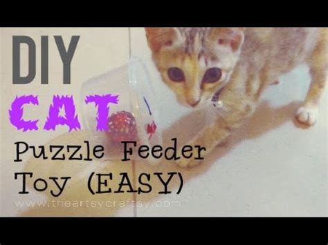 Offering a reward and a challenge, cat amazing epic! DIY Easy Cat Puzzle Feeder Toy - YouTube