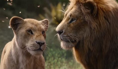 nala and if he feels the love tonight in the way i do. Can You Feel the Love Tonight 2019 Song Lyrics The Lion King 2019 Beyoncé