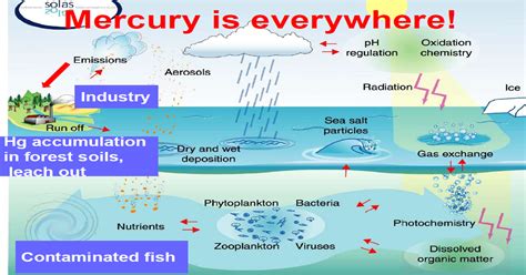 What Is Mercury What Is Mercury Organic Matter Chemistry