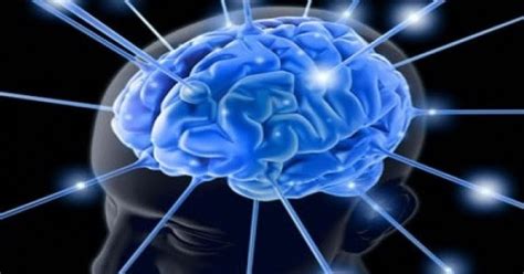 We did not find results for: IQ Anak Cerdas Berasal Dari Gen Ibu, Ini Penelitiannya ...