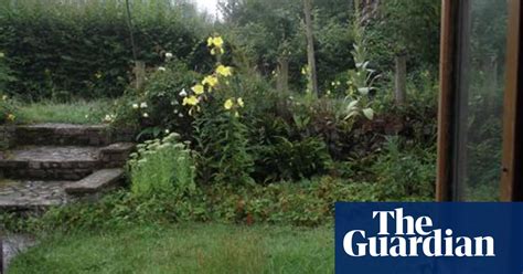 Happy Play In Grassy Places Allotments The Guardian