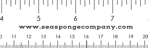 Printable 6 Inch Ruler Actual Size