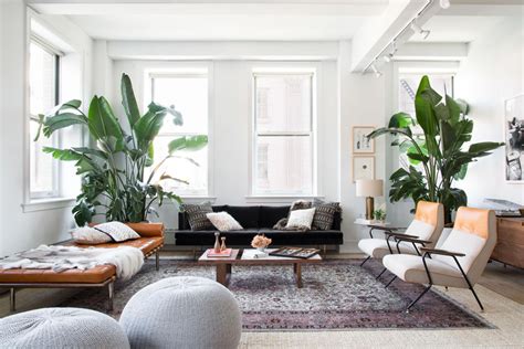 Twelve Stylish Indoor Plant Ideas Apartment Number 4 Award Winning Interior Design