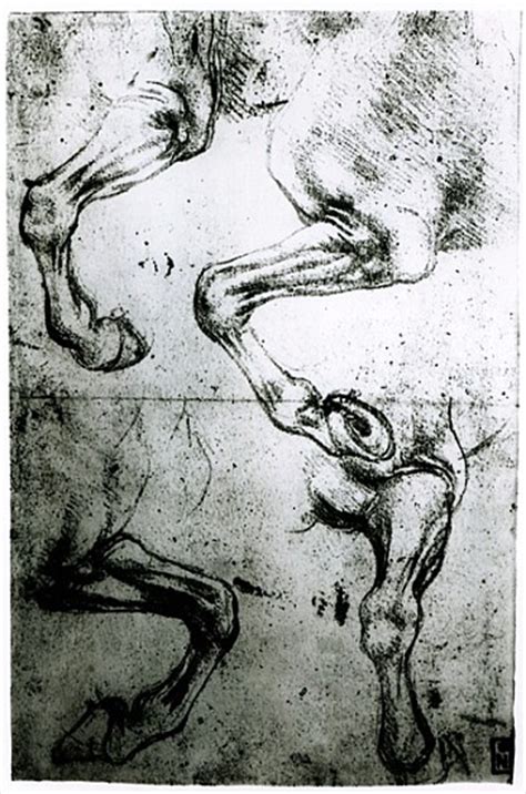 Studies Of Horses Legs Pen And Ink On P Leonardo Da Vinci As Art