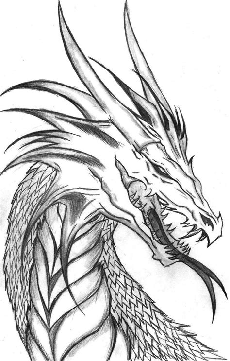 Realistic dragon drawing cool dragon drawings dragon sketch dragon artwork awesome drawings toros tattoo magazin design cool dragons dragon tattoo designs. Cool dragon plz draw it | Cool dragon drawings, Dragon ...