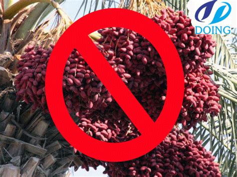 We can supply you with the requested material. Iran ban palm oil import|manufacturers Iran ban palm oil ...