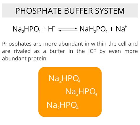 Phosphate Buffer System Equation