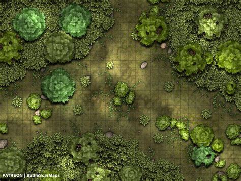 Forest Clearing Battle Map Dnd Battle Map D D Battlemap Etsy Tabletop Rpg Maps Dungeons And