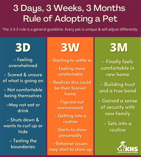 3 3 3 rule to adopting