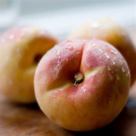 Peach synonyms, peach pronunciation, peach translation, english dictionary definition of peach. 19 Wonderful Peach Pictures