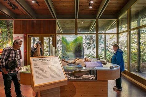 Hoh Rain Forest And Olympic National Park Visitor Center