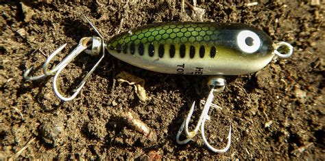 Essential Topwater Fishing Lures