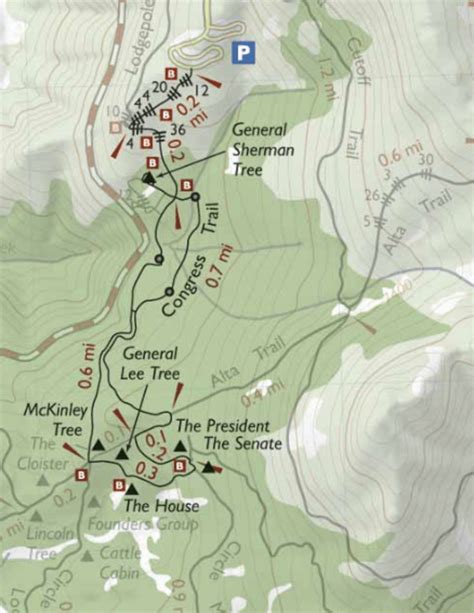 Congress Trail Sequoia National Park California The Trek Planner