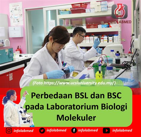 Perbedaan Bsl Dan Bsc Pada Laboratorium Biologi Molekuler