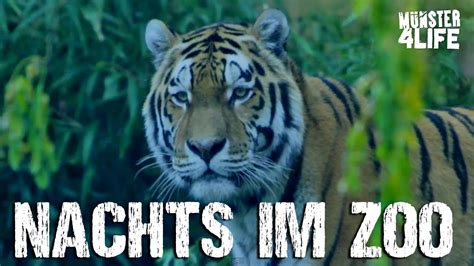 Allwetterzoo Münster Nachts Im Zoo 30062012 Münster 4 Life