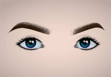 Best Perfect Eyebrows Illustrations Royalty Free Vector Graphics