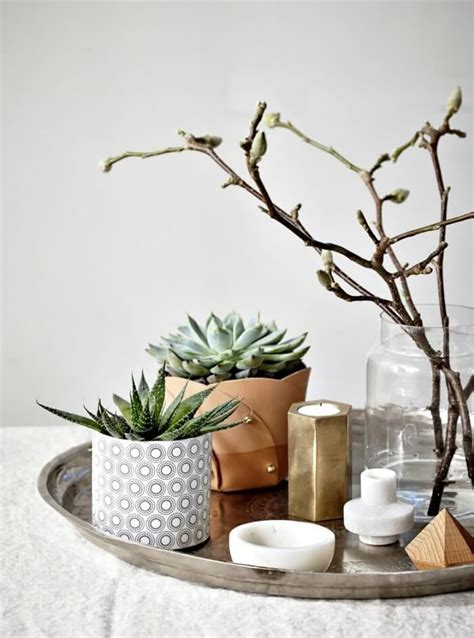 How To Create The Mysterious A Vignette Coffee Table Styling