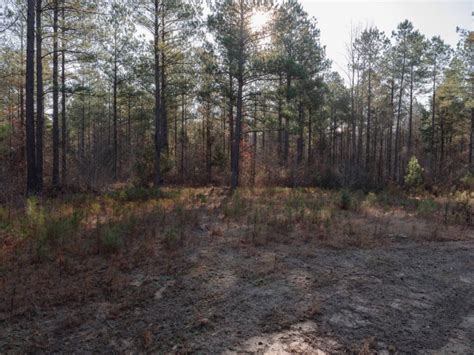 130 Acres Holmes County Ms Backwoods Land Company