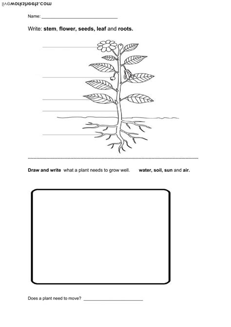 Interactive Types Of Plants Worksheets For Class 1 Sc