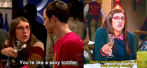 15 Hilarious Times The Big Bang Theory Was Inappropriate Af Thethings