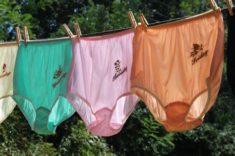 A Vintage Style Days Of The Week Panties Set Of 7 Briefs Etsy